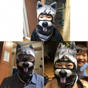 Balaclavas 3D Animal Neck Gaiter Warmer Windproof Full Face Mask Scarf for Ski Halloween Costume - Funny Raccoon - CP18I4TI7E...