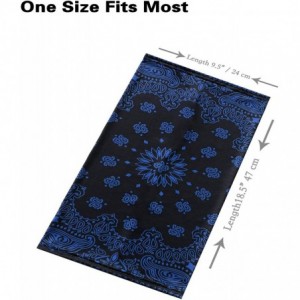 Balaclavas Face Bandanas Neck Gaiters for Men Women Dust Scarf Balaclava Headbands - Royal Blue Paisley - C0199OOA5WR $9.76