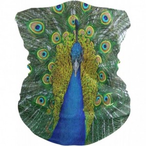 Balaclavas Beautiful Feathers Peacock Half Face Mask Scarf Cover Dust Wind Neck Warmer Bandana Women Men - As Picture 1 - CO1...