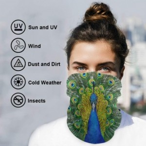 Balaclavas Beautiful Feathers Peacock Half Face Mask Scarf Cover Dust Wind Neck Warmer Bandana Women Men - As Picture 1 - CO1...