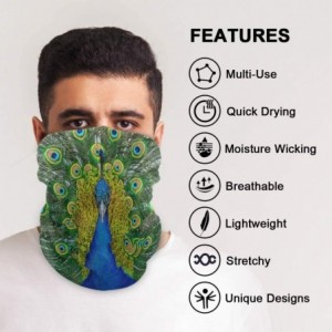 Balaclavas Beautiful Feathers Peacock Half Face Mask Scarf Cover Dust Wind Neck Warmer Bandana Women Men - As Picture 1 - CO1...