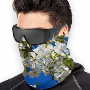 Balaclavas Spring Non Slip Seamless Dust Men & Women Face Mask For Outdoor Sports Neck Gaiter Cover Scarf Bandana Balaclava -...