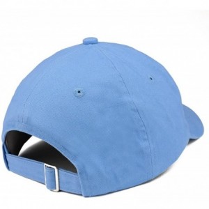 Baseball Caps Holy Trinity Embroidered Brushed Cotton Dad Hat Ball Cap - Carolina Blue - CK180D88TSS $21.05