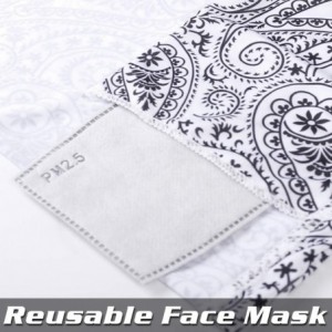 Balaclavas Neck Gaiter with Carbon Filter- UV Protection Face Cover for Hot Summer Cycling Hiking Sport Outdoor - CH19849D9IM...