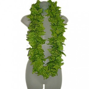 Headbands DELUXE HAWAIIAN GREEN LEATHER FERN SILK HULA LEI LONG - CC11CHXX9OT $20.13