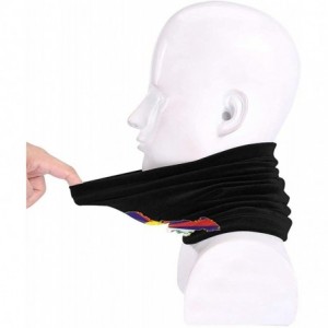 Balaclavas Balaclava Headwear Windproof Outdoor Activities - Black - CM1986L9MIX $16.10