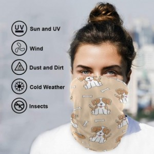 Balaclavas Face Mask Balaclava Half Bandanna - CE197TLI0GN $12.53