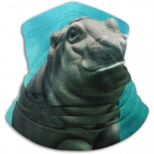 Balaclavas Lion Neck Gaiter Warmer Windproof Mask Dust Face Clothing Free UV Face Mask - Baby Hippo - CZ196R67XA7 $33.69