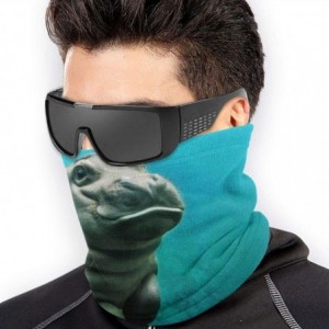 Balaclavas Lion Neck Gaiter Warmer Windproof Mask Dust Face Clothing Free UV Face Mask - Baby Hippo - CZ196R67XA7 $19.61