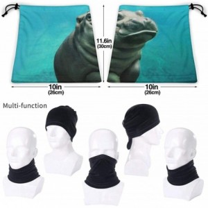 Balaclavas Lion Neck Gaiter Warmer Windproof Mask Dust Face Clothing Free UV Face Mask - Baby Hippo - CZ196R67XA7 $19.61