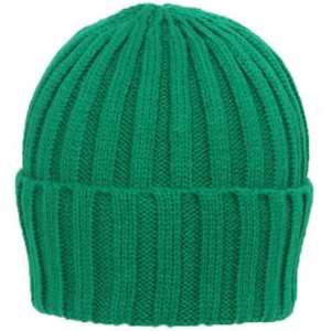 Skullies & Beanies 12.5 inch Long Knitted Beanie - Kelly Green - C012O7HJJ2P $9.25