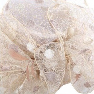 Sun Hats Women Sun Hats Wide Brim Organza Hats for Kentucky Derby Dress hat (Champagne) - C011OIBH8RH $27.52