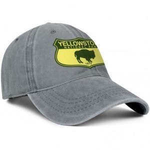 Baseball Caps Yellowstone National Park Casual Snapback Hat Trucker Fitted Cap Performance Hat - Yellowstone National Park-24...