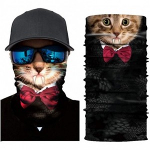 Balaclavas Seamless Bandana Protection Headwear Balaclava - Gentle Cat - C3197X9SRKZ $10.22