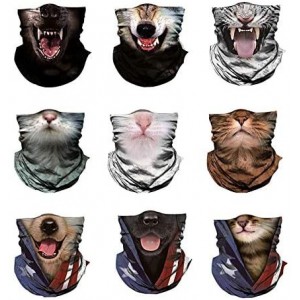 Balaclavas Seamless Bandana Protection Headwear Balaclava - Gentle Cat - C3197X9SRKZ $10.22