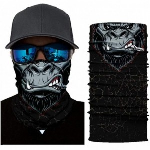 Balaclavas Lion Print Face Mask- Rave Bandana- Neck Gaiter- Scarf- Summer Balaclava for Dust Wind UV Protection - Ann - CN197...