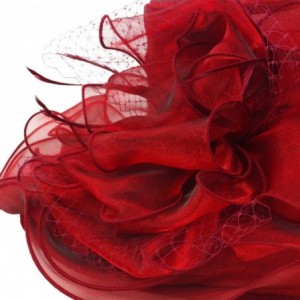 Sun Hats Women's Organza Feather/Veil Party Occasion Event Kentucky Derby Church Dress Sun Hat Cap - Red - CI127B8MNHN $30.40