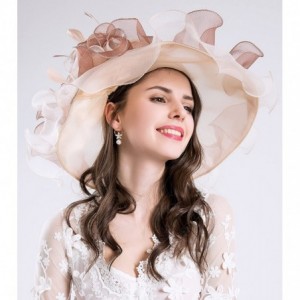 Sun Hats Church Kentucky Derby Hats for Womens Organza Fascinator British Tea Party Wedding Dress Cap Mysterious UPF 50+ - CO...