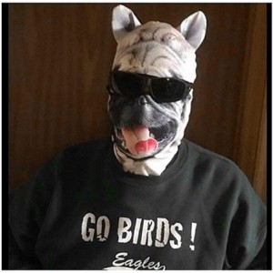 Balaclavas Balaclava Halloween Animal Outddor - Bb-g-05 - C218ZCXKIUD $11.34