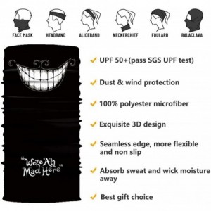 Balaclavas Summer Face Scarf Bandana Neck Gaiter Tube Magic Face Cover Scarf Balaclava Headwear Sun UV Protection - CM198G3SR...