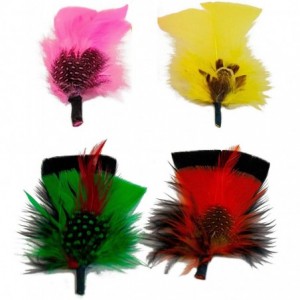 Fedoras Hat Feather Packs - Assorted Men's Fedora Feathers Bold Colors Flight Feathers - Assorted (C Pack) - CB194I580KN $12.37